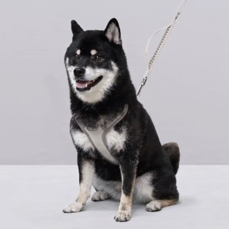 ���� ������ �ϳ׽� ���� ������ ��Ʈ ������� ������ ������ȣ ������ ������ ������ �ְ� �ݷ��� ��