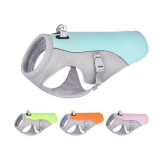 CG364 ���ڶ����� ����� �� �� ���� (2XL) 