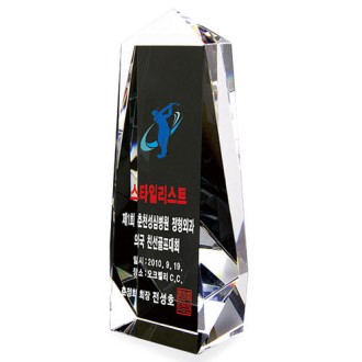 KC388 ������ǽ� ���� ũ����Ż Ʈ���� 6