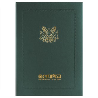 ������ �������̽� ��� HO